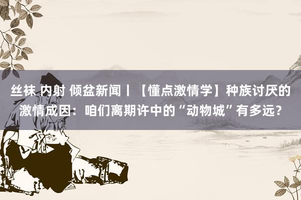 丝袜 内射 倾盆新闻丨【懂点激情学】种族讨厌的激情成因：咱们离期许中的“动物城”有多远？