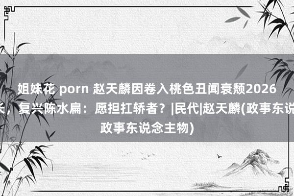 姐妹花 porn 赵天麟因卷入桃色丑闻衰颓2026高雄市长，复兴陈水扁：愿担扛轿者？|民代|赵天麟(政事东说念主物)