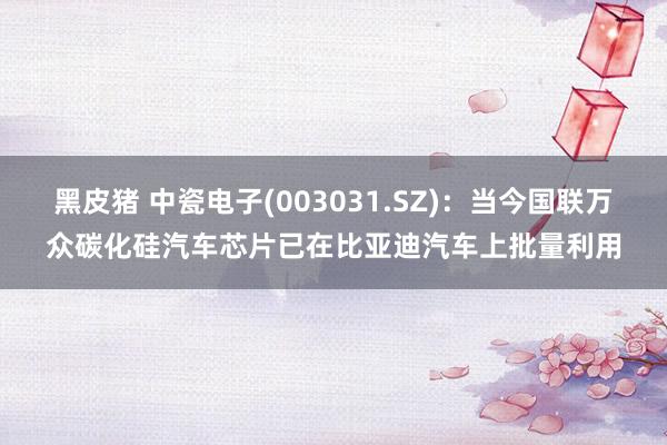 黑皮猪 中瓷电子(003031.SZ)：当今国联万众碳化硅汽车芯片已在比亚迪汽车上批量利用